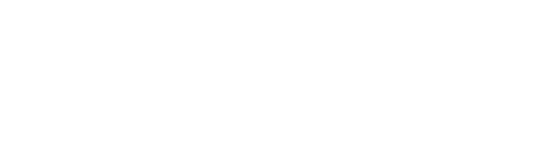 Accessible+ logo - place for company logo